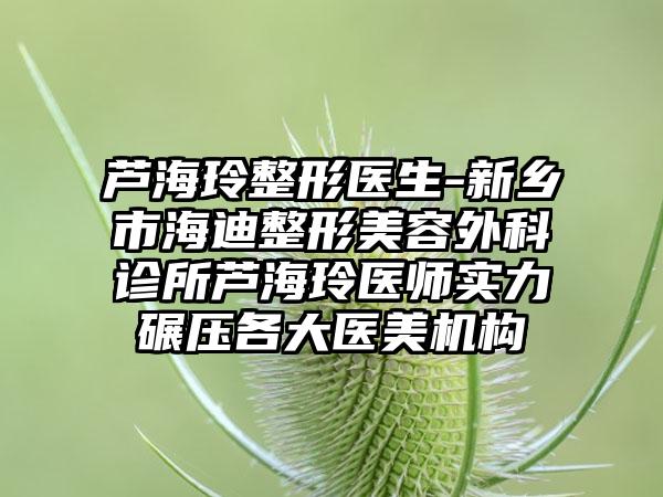 芦海玲整形医生-新乡市海迪整形美容外科诊所芦海玲医师实力碾压各大医美机构