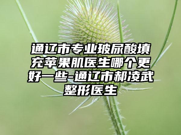 通辽市专业玻尿酸填充苹果肌医生哪个更好一些-通辽市郝凌武整形医生