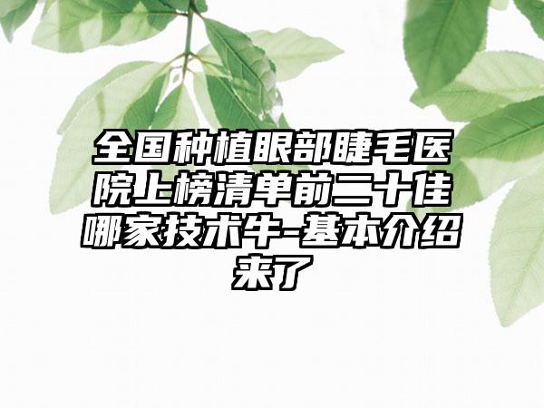 全国种植眼部睫毛医院上榜清单前二十佳哪家技术牛-基本介绍来了