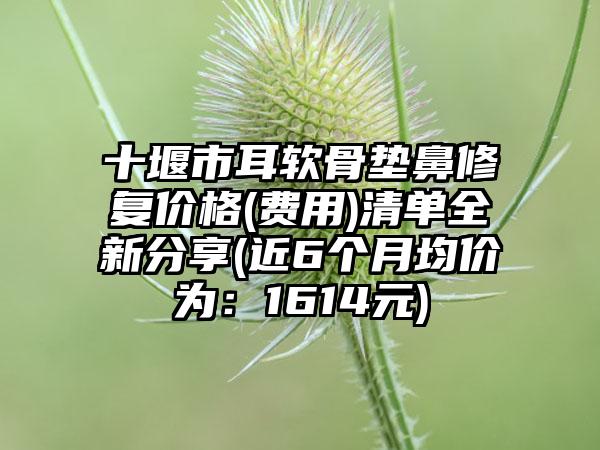 十堰市耳软骨垫鼻修复价格(费用)清单全新分享(近6个月均价为：1614元)