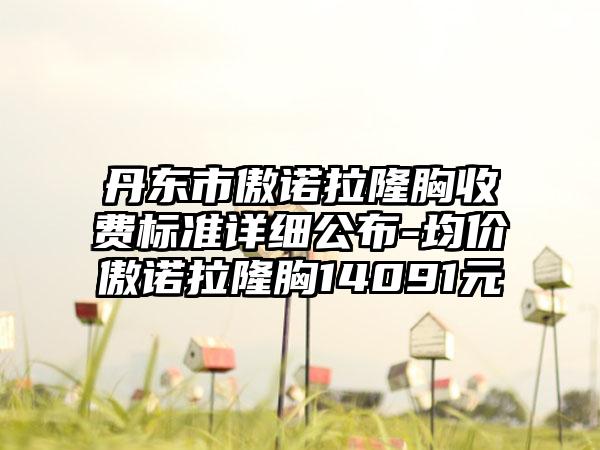 丹东市傲诺拉隆胸收费标准详细公布-均价傲诺拉隆胸14091元