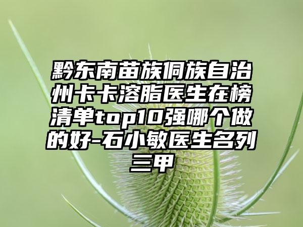 黔东南苗族侗族自治州卡卡溶脂医生在榜清单top10强哪个做的好-石小敏医生名列三甲