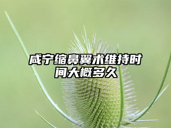 咸宁缩鼻翼术维持时间大概多久