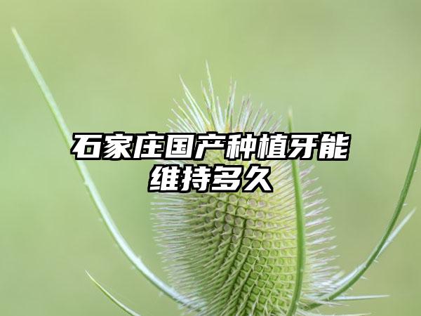 石家庄国产种植牙能维持多久