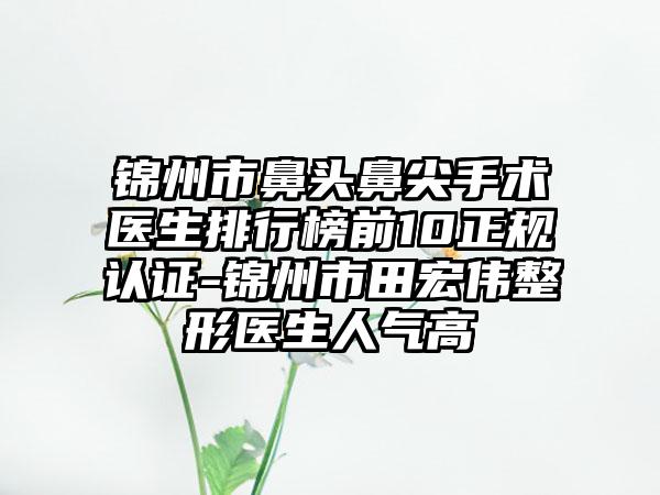 锦州市鼻头鼻尖手术医生排行榜前10正规认证-锦州市田宏伟整形医生人气高