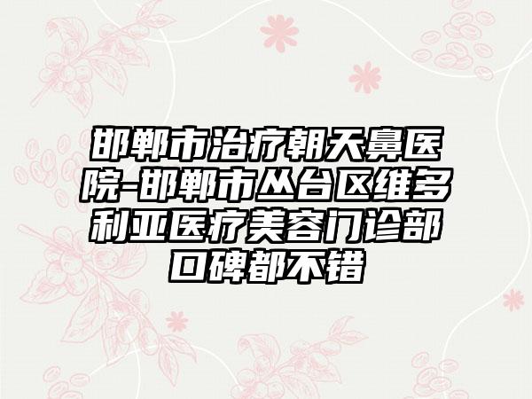 邯郸市治疗朝天鼻医院-邯郸市丛台区维多利亚医疗美容门诊部口碑都不错