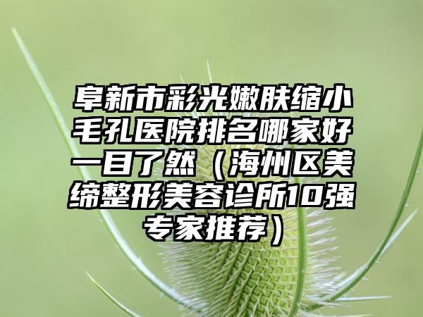 阜新市彩光嫩肤缩小毛孔医院排名哪家好一目了然（海州区美缔整形美容诊所10强专家推荐）