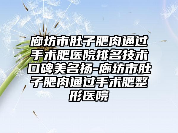 廊坊市肚子肥肉通过手术肥医院排名技术口碑美名扬-廊坊市肚子肥肉通过手术肥整形医院