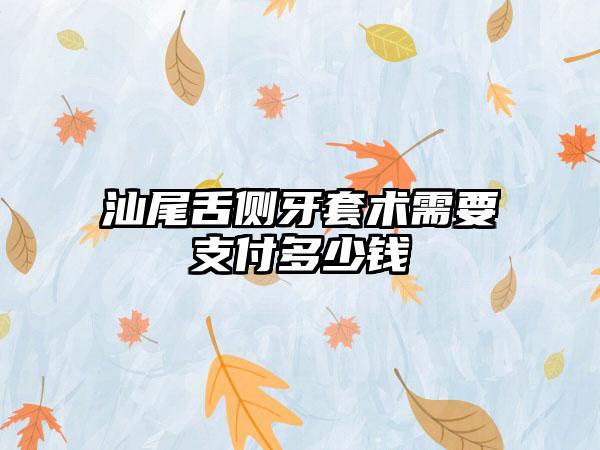 汕尾舌侧牙套术需要支付多少钱