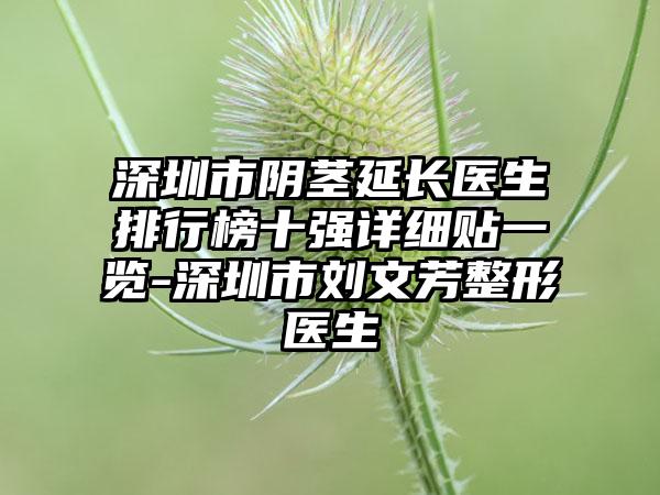 深圳市阴茎延长医生排行榜十强详细贴一览-深圳市刘文芳整形医生