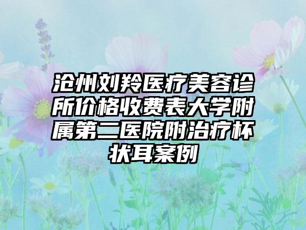 沧州刘羚医疗美容诊所价格收费表大学附属第二医院附治疗杯状耳案例