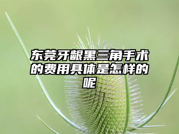 东莞牙龈黑三角手术的费用具体是怎样的呢