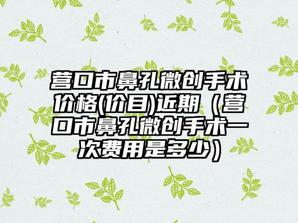 营口市鼻孔微创手术价格(价目)近期（营口市鼻孔微创手术一次费用是多少）