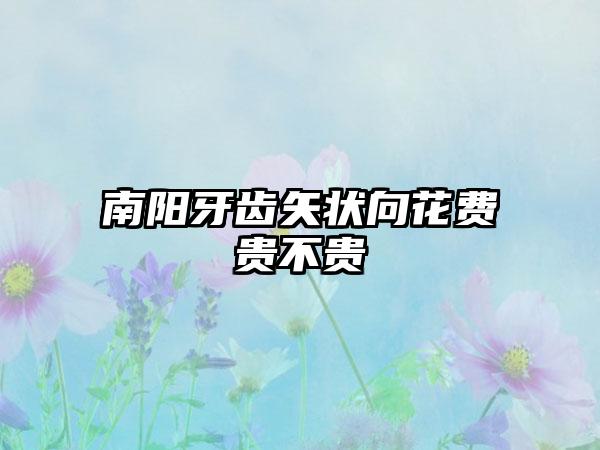 南阳牙齿矢状向花费贵不贵