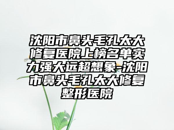 沈阳市鼻头毛孔太大修复医院上榜名单实力强大远超想象-沈阳市鼻头毛孔太大修复整形医院