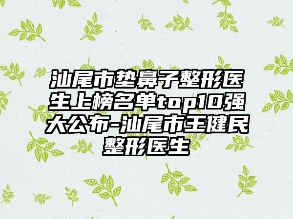 汕尾市垫鼻子整形医生上榜名单top10强大公布-汕尾市王健民整形医生