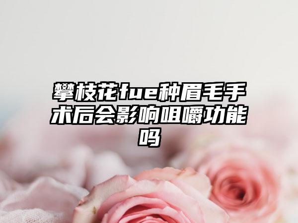 攀枝花fue种眉毛手术后会影响咀嚼功能吗