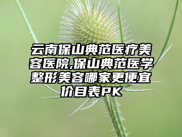 云南保山典范医疗美容医院,保山典范医学整形美容哪家更便宜价目表PK