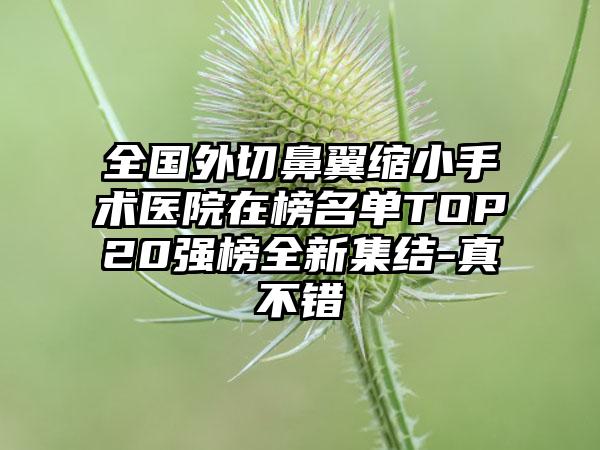 全国外切鼻翼缩小手术医院在榜名单TOP20强榜全新集结-真不错