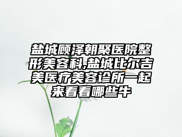 盐城顾泽朝聚医院整形美容科,盐城比尔吉美医疗美容诊所一起来看看哪些牛