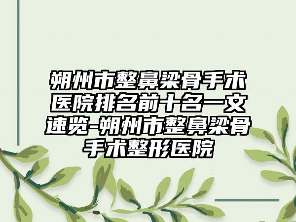 朔州市整鼻梁骨手术医院排名前十名一文速览-朔州市整鼻梁骨手术整形医院