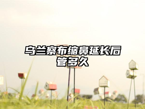 乌兰察布缩鼻延长后管多久