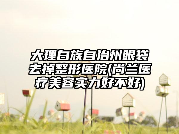 大理白族自治州眼袋去掉整形医院(尚兰医疗美容实力好不好)