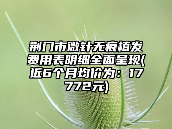 荆门市微针无痕植发费用表明细全面呈现(近6个月均价为：17772元)