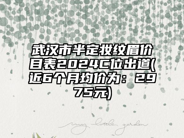 武汉市半定妆纹眉价目表2024C位出道(近6个月均价为：2975元)