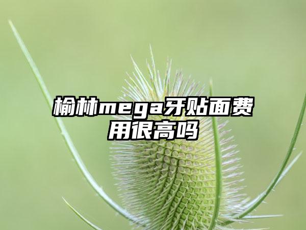 榆林mega牙贴面费用很高吗