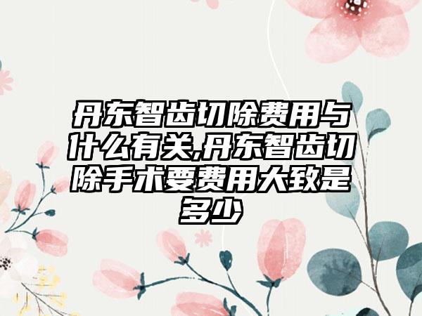 丹东智齿切除费用与什么有关,丹东智齿切除手术要费用大致是多少