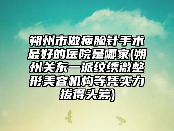 朔州市做瘦脸针手术最好的医院是哪家(朔州关东一派纹绣微整形美容机构等凭实力拔得头筹)