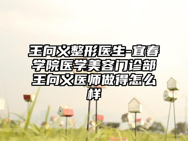 王向义整形医生-宜春学院医学美容门诊部王向义医师做得怎么样