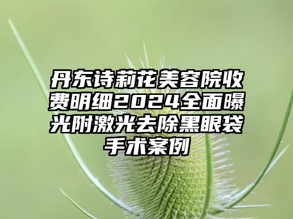 丹东诗莉花美容院收费明细2024全面曝光附激光去除黑眼袋手术案例