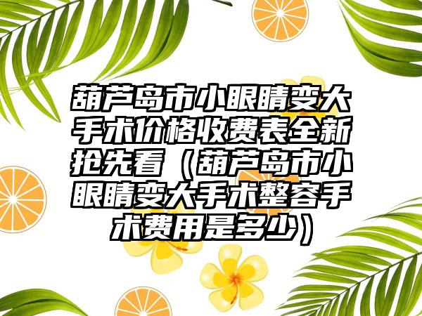 葫芦岛市小眼睛变大手术价格收费表全新抢先看（葫芦岛市小眼睛变大手术整容手术费用是多少）