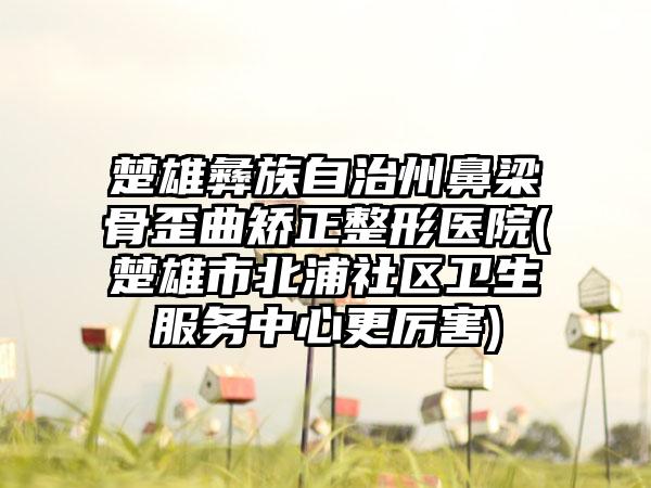 楚雄彝族自治州鼻梁骨歪曲矫正整形医院(楚雄市北浦社区卫生服务中心更厉害)