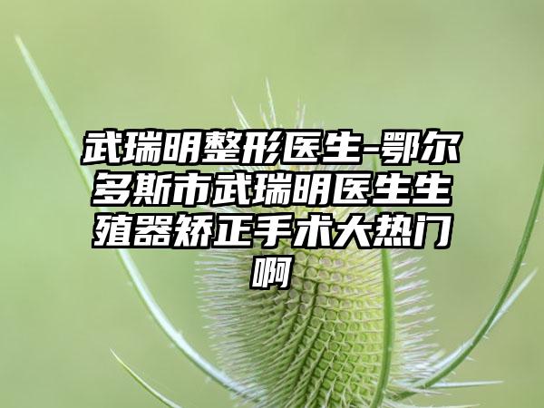 武瑞明整形医生-鄂尔多斯市武瑞明医生生殖器矫正手术大热门啊