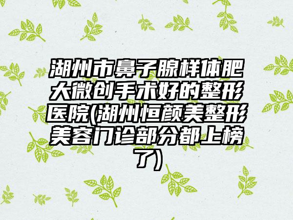 湖州市鼻子腺样体肥大微创手术好的整形医院(湖州恒颜美整形美容门诊部分都上榜了)