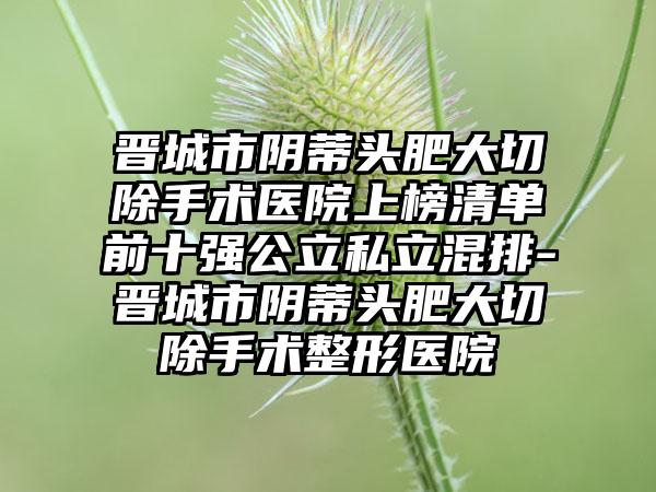 晋城市阴蒂头肥大切除手术医院上榜清单前十强公立私立混排-晋城市阴蒂头肥大切除手术整形医院