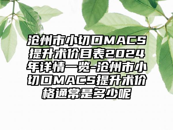 沧州市小切口MACS提升术价目表2024年详情一览-沧州市小切口MACS提升术价格通常是多少呢