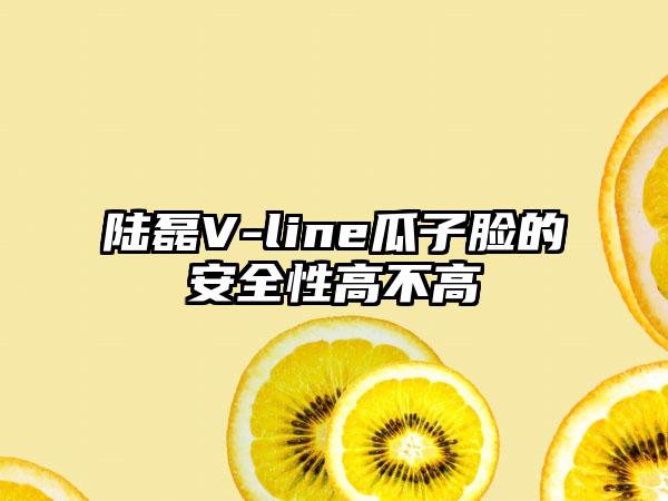 陆磊V-line瓜子脸的安全性高不高