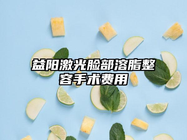 益阳激光脸部溶脂整容手术费用