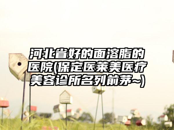 河北省好的面溶脂的医院(保定医莱美医疗美容诊所名列前茅~)