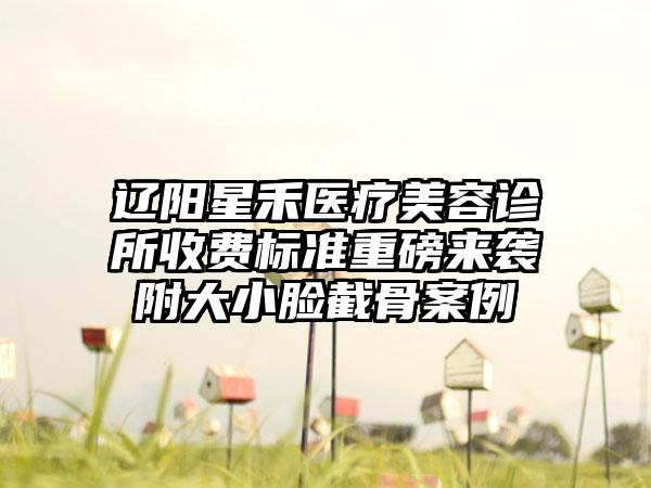 辽阳星禾医疗美容诊所收费标准重磅来袭附大小脸截骨案例