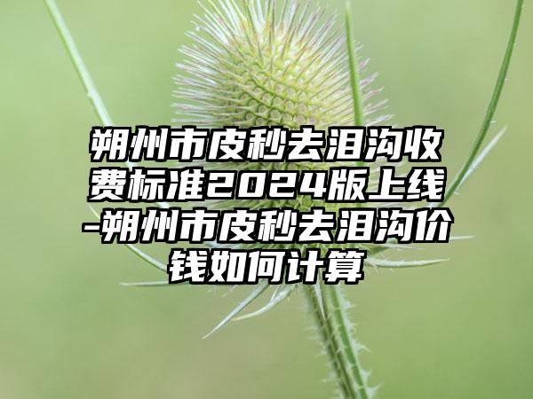 朔州市皮秒去泪沟收费标准2024版上线-朔州市皮秒去泪沟价钱如何计算