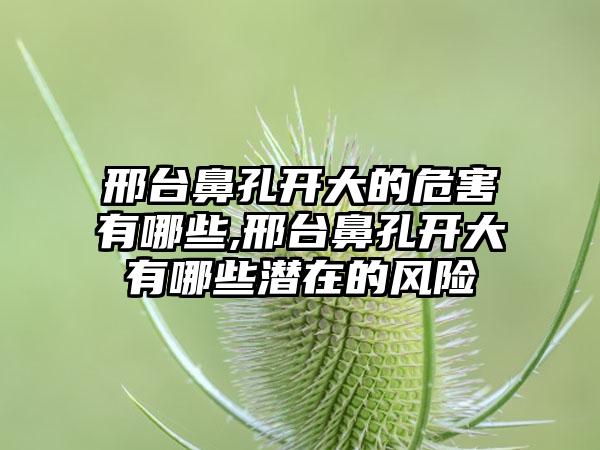 邢台鼻孔开大的危害有哪些,邢台鼻孔开大有哪些潜在的风险