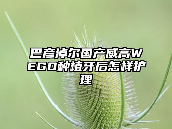 巴彦淖尔国产威高WEGO种植牙后怎样护理