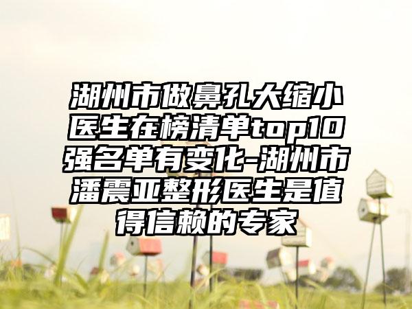 湖州市做鼻孔大缩小医生在榜清单top10强名单有变化-湖州市潘震亚整形医生是值得信赖的专家