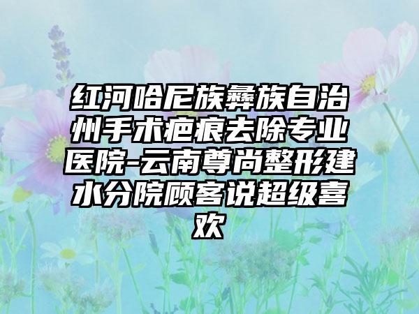 红河哈尼族彝族自治州手术疤痕去除专业医院-云南尊尚整形建水分院顾客说超级喜欢