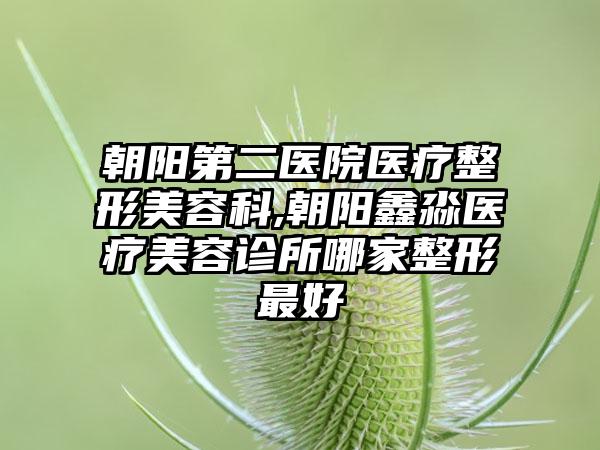 朝阳第二医院医疗整形美容科,朝阳鑫淼医疗美容诊所哪家整形最好